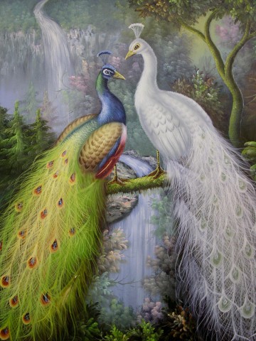 bird02.jpg