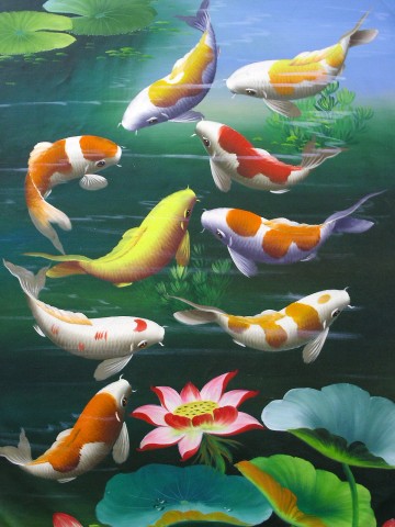 goldfish01.jpg